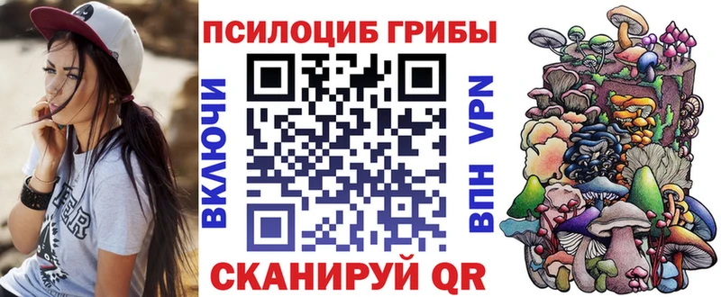 Псилоцибиновые грибы Magic Shrooms  Купить закладки  Ачхой-Мартан 