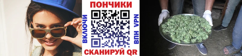 Конопля план  Купить где  Ачхой-Мартан 